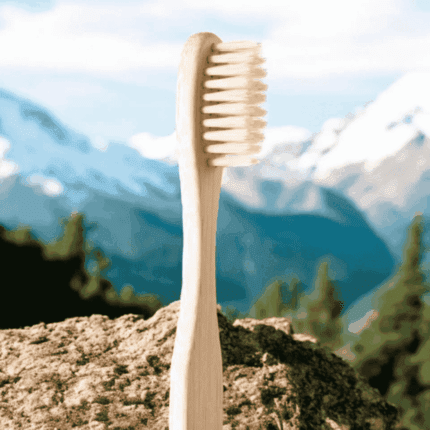 Ayushalya Bamboo Toothbrush for Sustainable Oral Hygiene